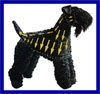 Click here for more detailed Kerry Blue Terrier breed information and available puppies, studs dogs, clubs and forums